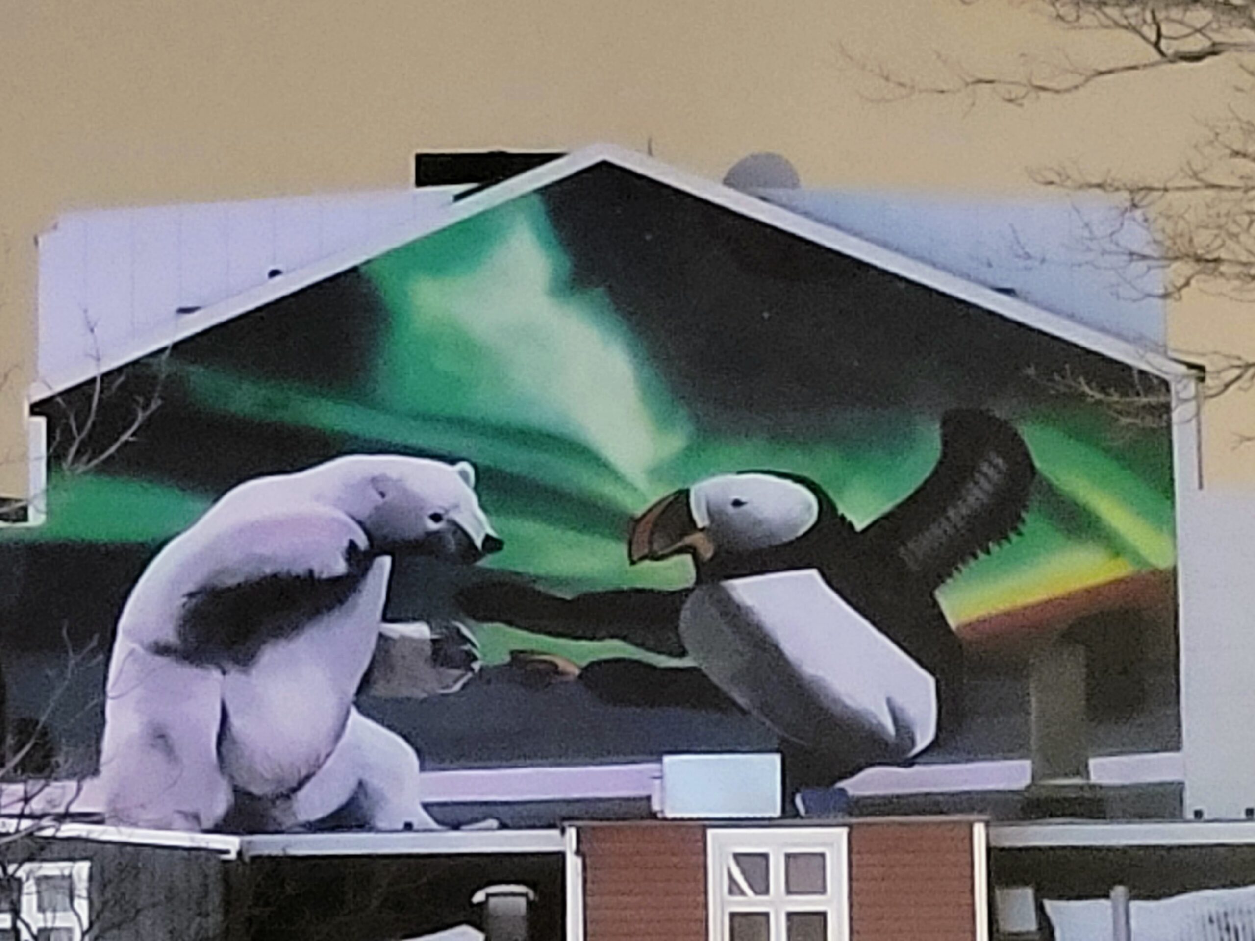 Reykjavik’s Urban Canvas: A Guide to the Coolest Street Art